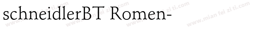 schneidlerBT Romen字体转换